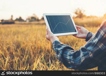 Smart farming Agricultural technology and organic agriculture Woman using the research tablet and studying the development of rice varieties in rice field