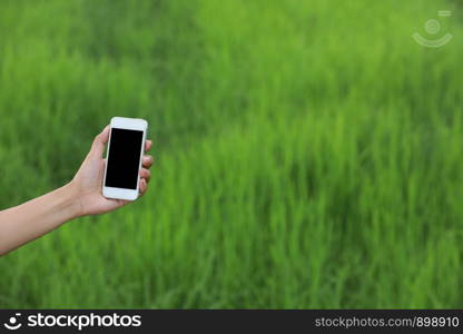 Smart farming using modern technologies in agriculture. Man agronomist farmer with digital smartphone using apps and internet at rice farm, selective focus
