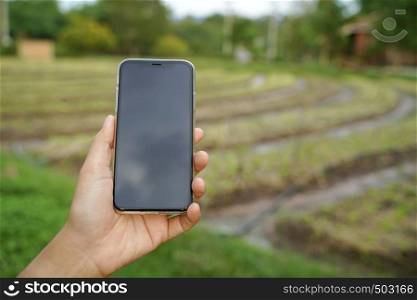 Smart farming, using modern technology mobile in agriculture, vegetable organic farming