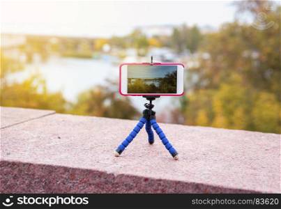 smart phone stands on a tripod and takes a panorama of nature, autumn day
