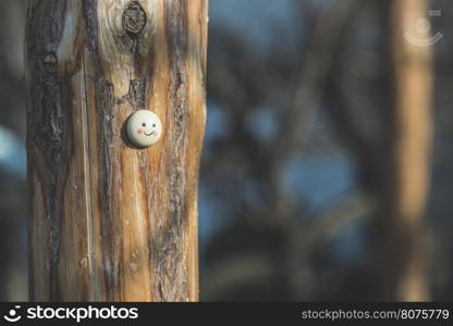 Smile icon miniature on tree twig