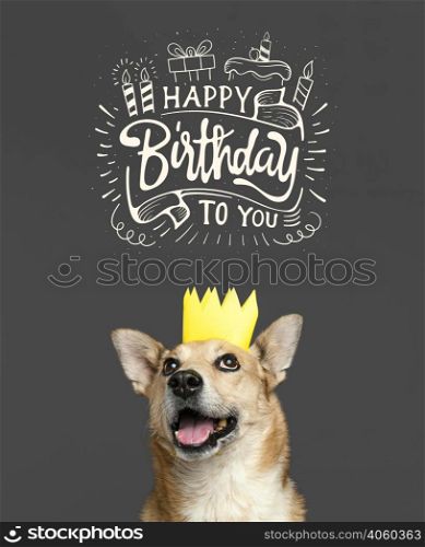 smiley dog wearing paper crown