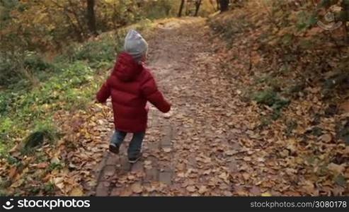 Smiling boy in jacket and hat running on walkway covered with yellow fallen leaves in autumn park. Cute toddler child falls down on road and starts crying as he plays outdoors in fall day over golden autumn landscape. Stabilized shot. Slo mo.