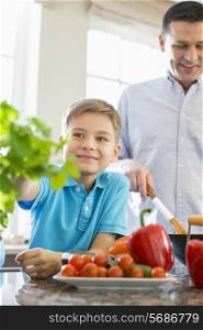 Smiling boy touching houseplant with father preparing food in kitchen