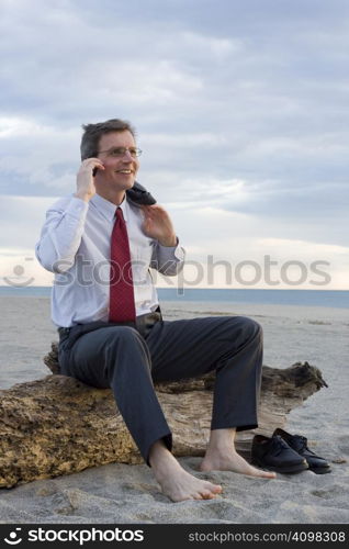 Smiling businessman making a phone call on a beach while sitting on an old tree trunk