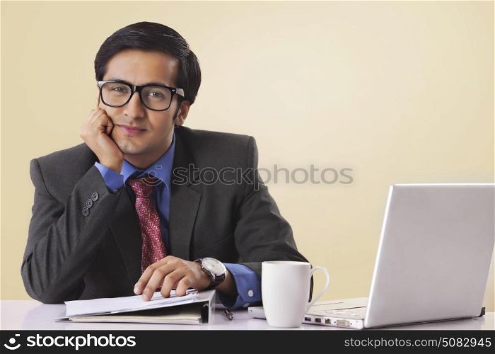 Smiling Businessman sitting at computer desk