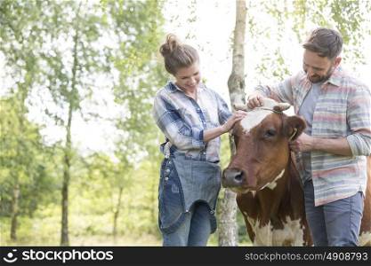 Smiling couple standing with cow at farm