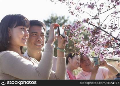 Smiling couple taking a photograph of a branch with cherry blossoms, outside in a park in the springtime