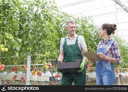 Smiling coworkers discussing while walking by tomato plants in greenhouse