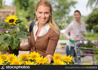 Smiling customer woman hold potted sunflower in garden center