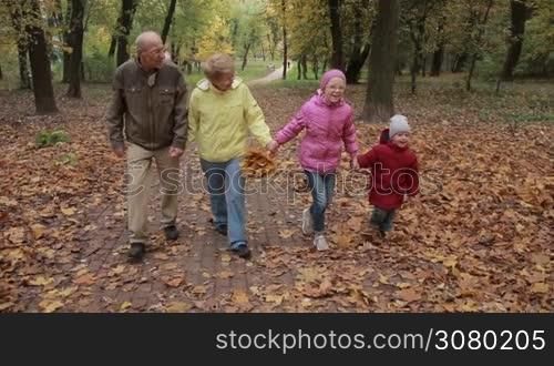 Smiling elderly couple and adorable grandchildren taking a walk in public park in fall. Beautiful grandparents enjoying leisure together with offsprings while walking on cobblestone walkway covered with fallen foliage in autumn park. Slo mo.