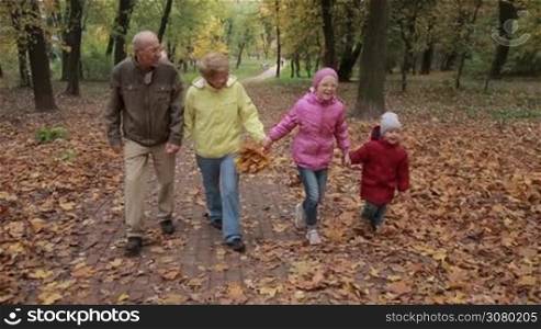 Smiling elderly couple and adorable grandchildren taking a walk in public park in fall. Beautiful grandparents enjoying leisure together with offsprings while walking on cobblestone walkway covered with fallen foliage in autumn park. Slo mo.