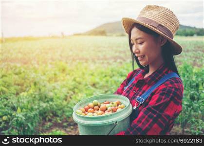 Smiling farmer posing in the tomato field