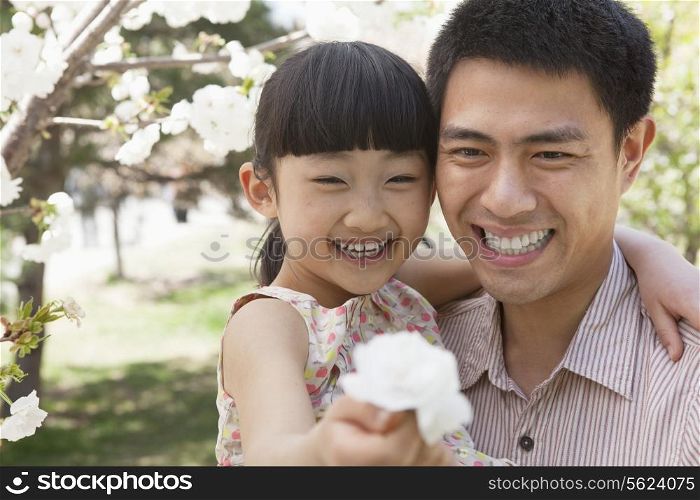 Smiling father and daughter enjoying the cherry blossoms on the tree in the park in springtime, daughter holding a flower