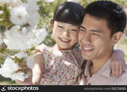 Smiling father and daughter enjoying the cherry blossoms on the tree in the park in springtime