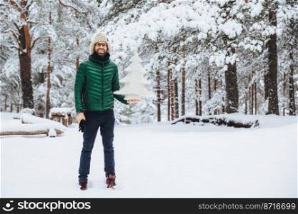 Smiling glad middle aged male with stubble, holds white winter artificial fir tree, spends Saturday morning in winter forest, breathes fresh air, admires beautiful landscapes. Wonderful scenery