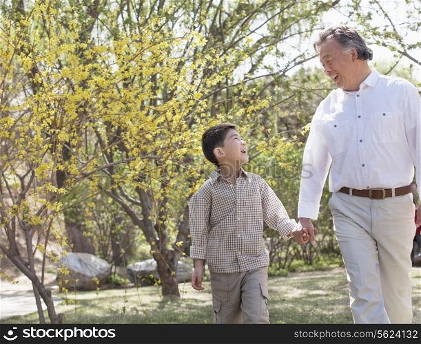 Smiling grandfather and grandson holding hands and going for a walk in the park in springtime