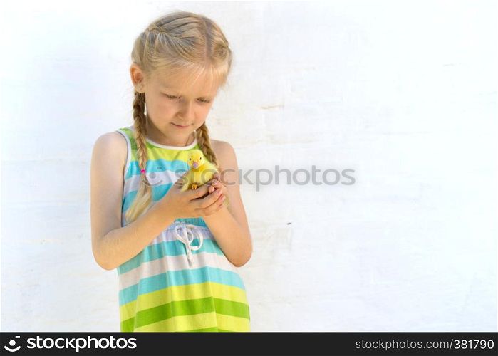 smiling little girl holding a little duckling