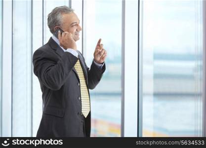 Smiling mature male executive talking on phone call