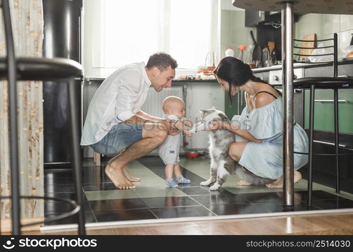 smiling parent playing with cat their baby kitchen