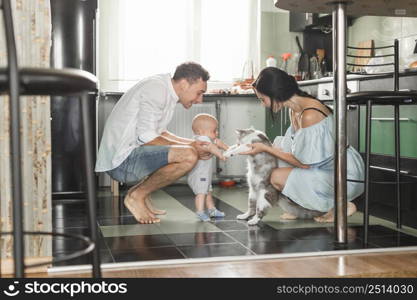 smiling parent playing with cat their baby kitchen