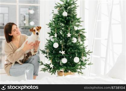 Smiling woman embraces pet with love, has happy mood, pose together near beautiful decorated Christmas tree, white walls, ladder and window around, spend time at home. Winter time, holidays.