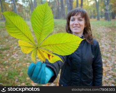 smiling woman - in hand (blue glove) autumn green chestnut leaf