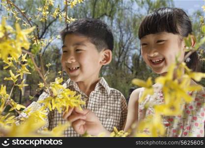 Smiling young boy and girl looking at the yellow blossoms on the tree in the park in springtime