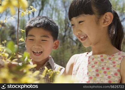 Smiling young boy and girl looking at the yellow blossoms on the tree in the park in springtime