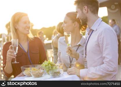 Smiling young colleagues toasting wineglasses during success party on rooftop