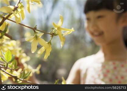 Smiling young girl looking at the yellow blossoms on the tree in the park in springtime