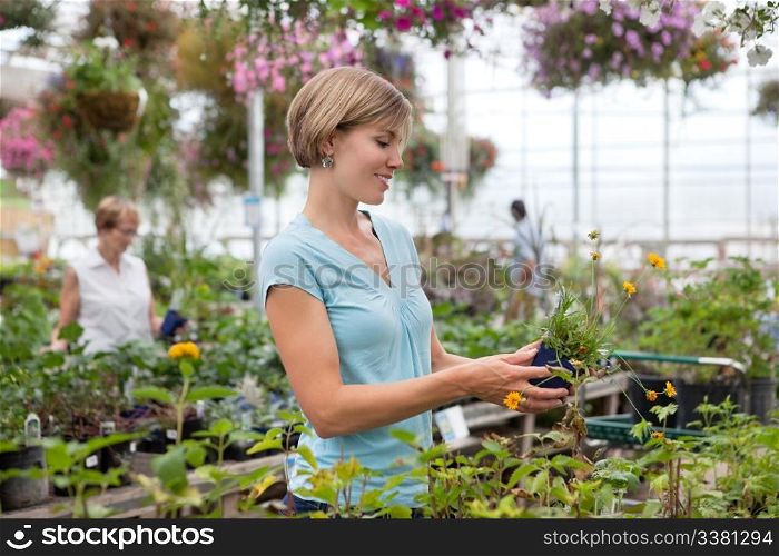 Smiling young woman holding flower pot