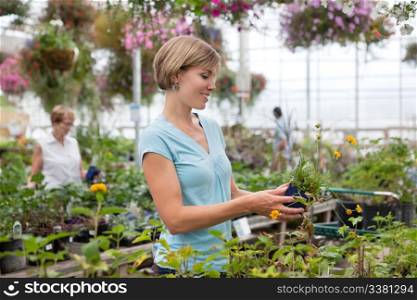 Smiling young woman holding flower pot