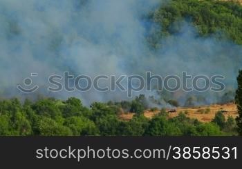 Smoke from a forest fire