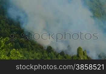 Smoke from a mountain forest fire