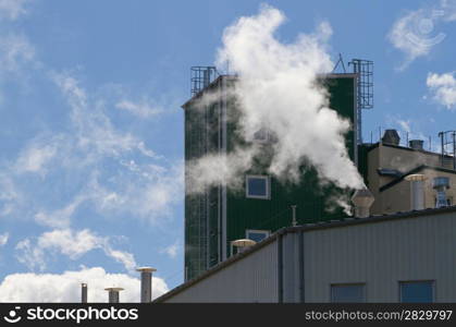 Smoking pipe industrial plant