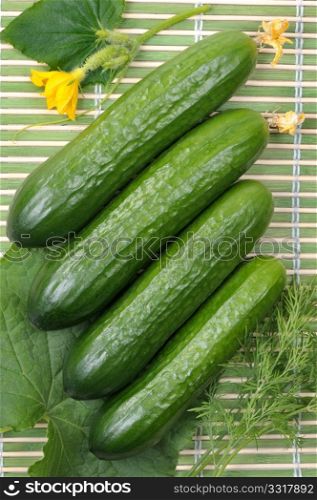 Smooth cucumbers against leaves and flovers.