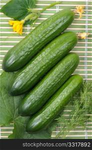 Smooth cucumbers against leaves and flovers.
