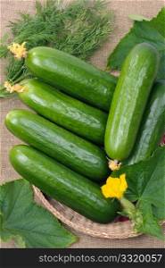 Smooth cucumbers in a basket, against leaves.