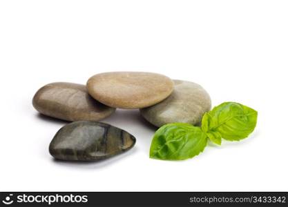 Smooth shiny Pebbles and fresh green leaves