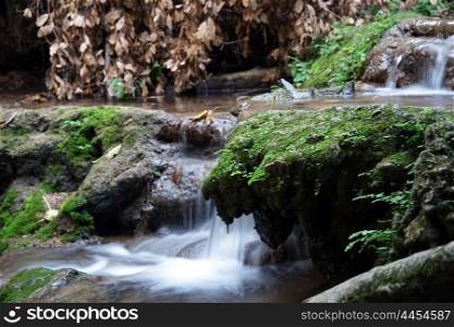 Smooth waterfall and dry leaves on the branc