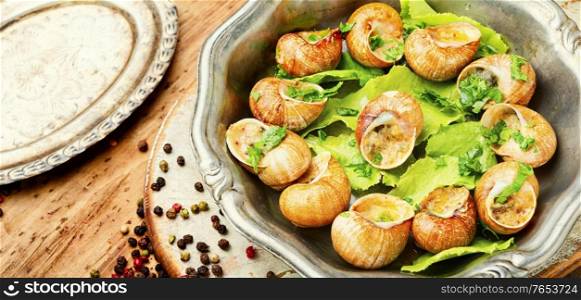 Snail or escargots with garlic butter and lime.Baked snails. Bourgogne escargot snails