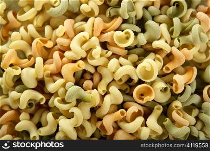 Snail shape Italian pasta texture