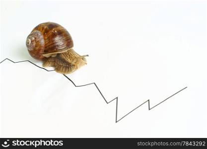 snail slow business chart.