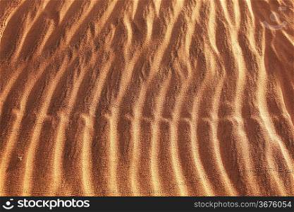 snake footprints on sand