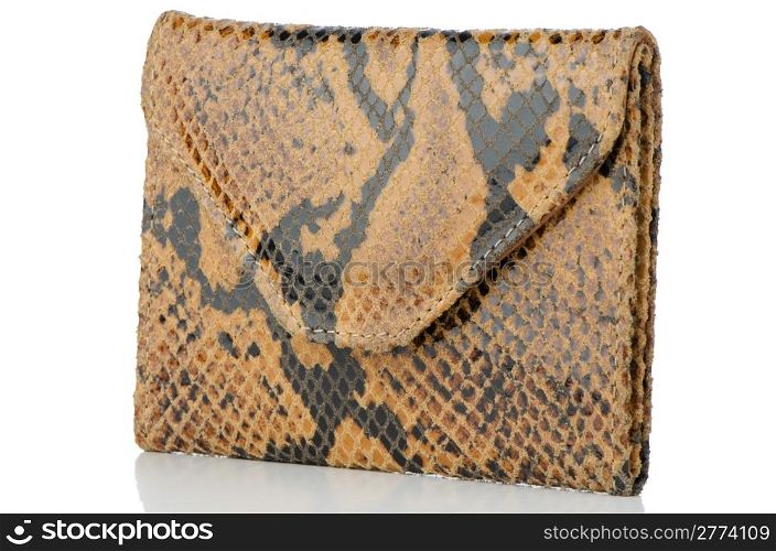 Snake skin leather wallet on white background.