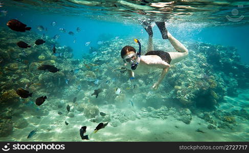 Snorkeler diving along the brain coral