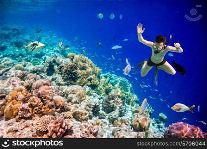 Snorkeler diving along the brain coral. Maldives Indian Ocean coral reef.