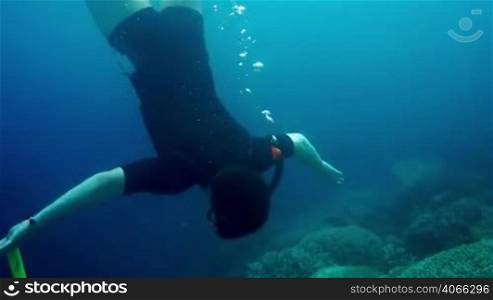 Snorkeler diving swimming under water.