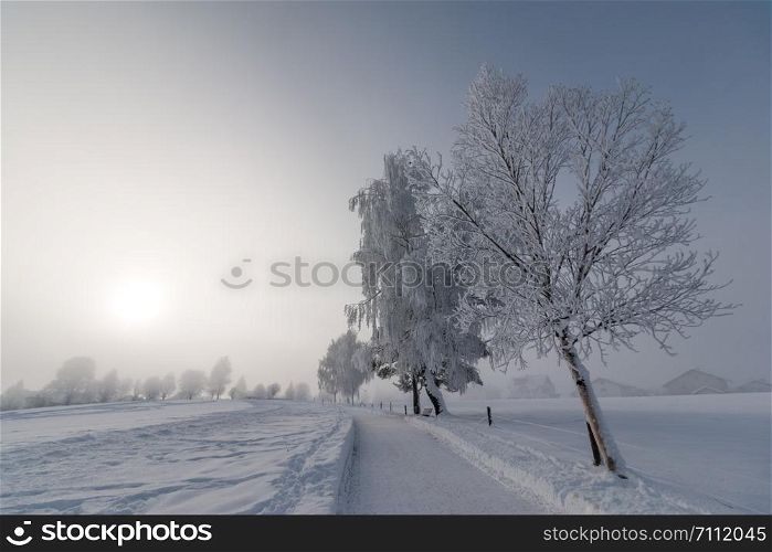 Snow and frost covered trees in January. Winter in Austria.